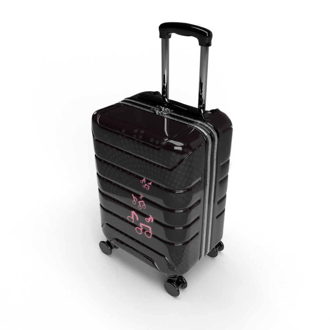 MUSIC CARRY-ON LUGGAGE